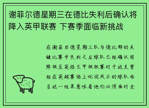 谢菲尔德星期三在德比失利后确认将降入英甲联赛 下赛季面临新挑战